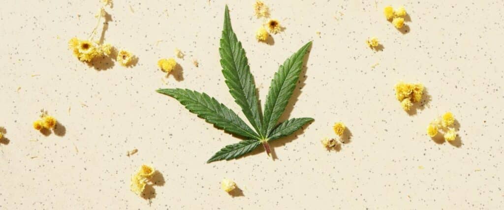 therapeutic properties of farnesene terpene