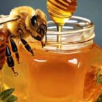 Potential of THC Honey in your daily routine