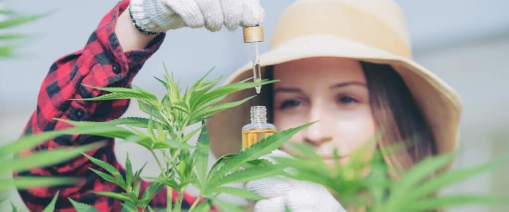 Tips and techniques to manage magnesium deficiency in your cannabis garden