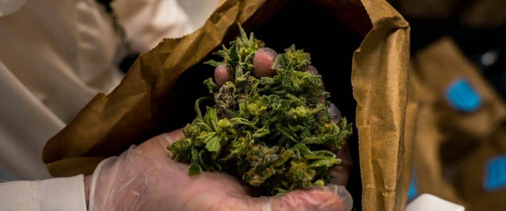 Learn about dank weed