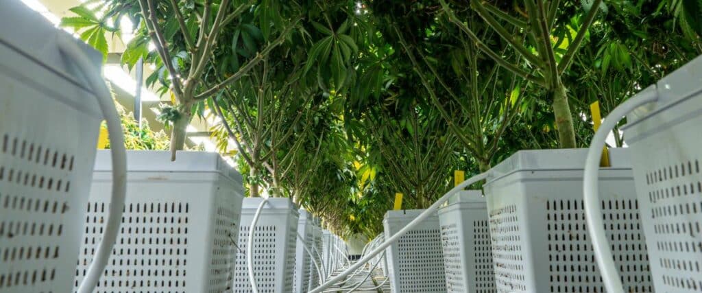 perfect grow tent humidifier