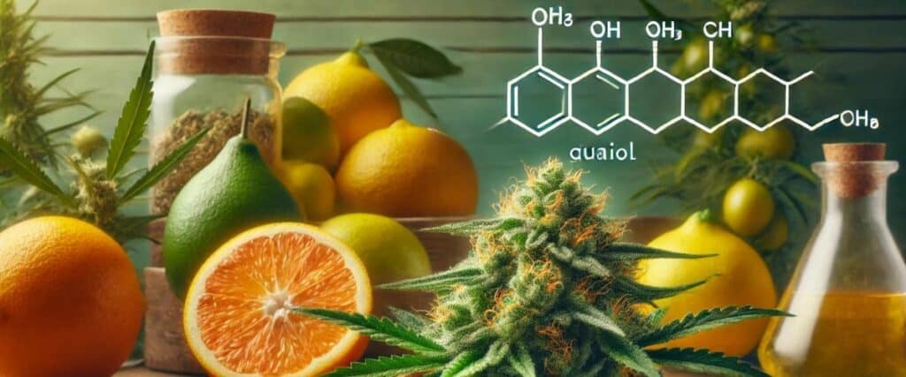 Guaiol terpene offers unique benefits