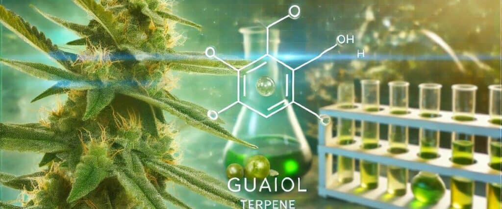 Discover the refreshing citrus and earthy notes of guaiol terpene