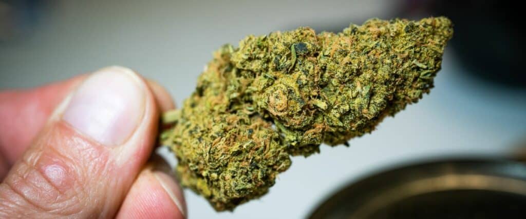 secrets of dank weed