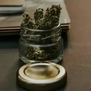 How much does a weed plant produce