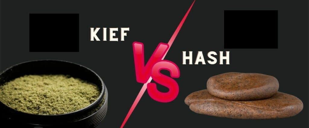 key differences between kief and hash