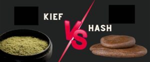 key differences between kief and hash