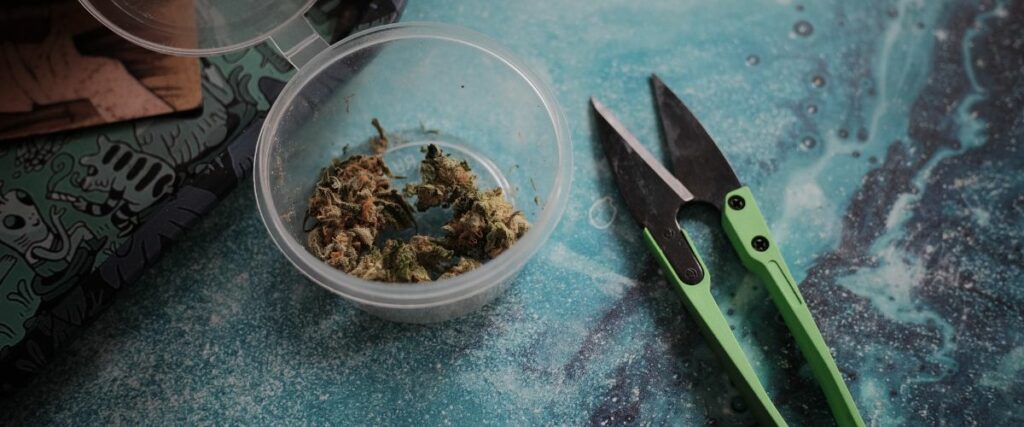 Scissors and a container used as an alternative to grind cannabis.