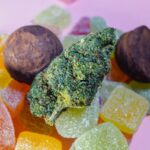 Assorted THC edibles, including gummies and chocolates, with a cannabis bud on a pink background.