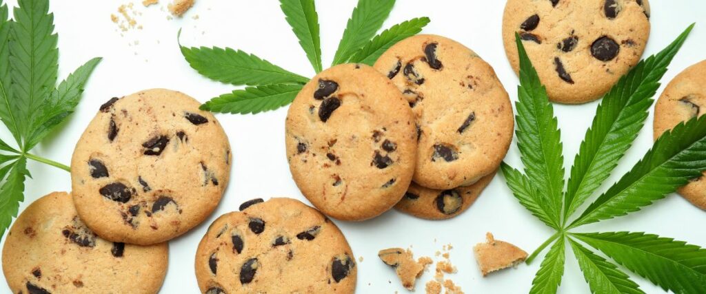 Chocolate chip cannabis cookies surrounded by cannabis leaves.