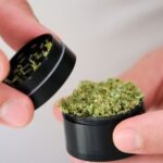 Man using a small handheld grinder to prepare cannabis.
