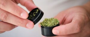 Man using a small handheld grinder to prepare cannabis.