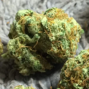 How to Grow Master Kush Seeds