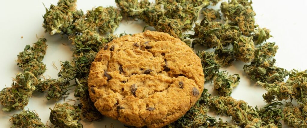 A chocolate chip cookie surrounded by cannabis buds, representing THC edibles.