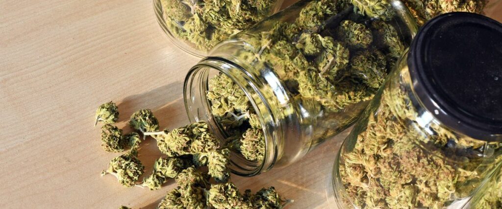 Dried cannabis buds stored in various glass jars, some spilled out on a wooden table.