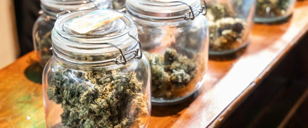 Glass jars filled with cannabis buds, securely stored on a wooden surface.