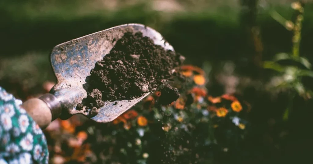 Gardener holding soil with a trowel, demonstrating the importance of outdoor cannabis nutrients for healthy plant growth.