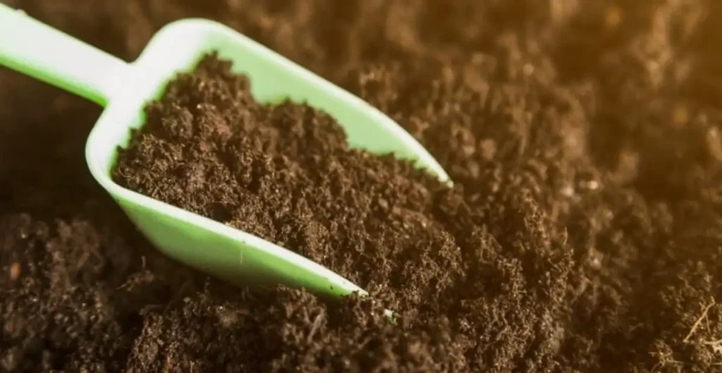 Cannabis Plant Nutrition Tips