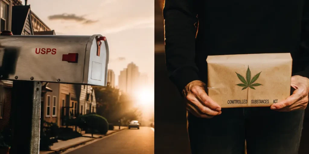 Hyper-realistic digital illustration: a "USPS" mailbox at sunset (left), and hands holding a package with a cannabis leaf and "CONTROLLED SUBSTANCES ACT" text (right).