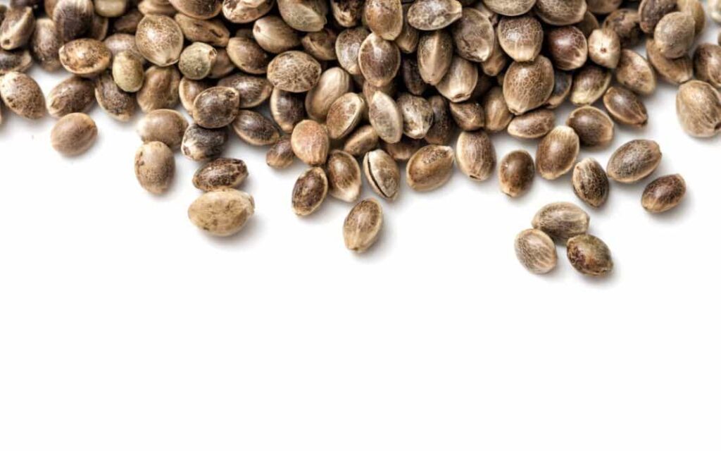 The Importance of Proper Seed Storage