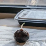 Hyper-realistic close-up of a germinating cannabis seed with a white root, on a paper towel, near a clear germination tray.