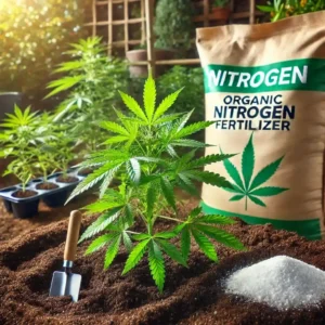 Young cannabis plant thriving in nutrient-rich soil with a bag of organic nitrogen fertilizer, emphasizing the importance of nitrogen for cannabis growth.