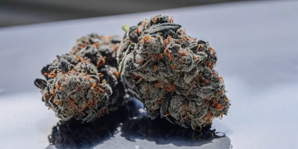 Frosted black cannabis buds with orange pistils and dense trichomes resting on a reflective surface.