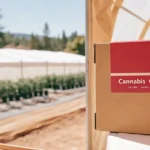 Cannabis clones ready for online order in a greenhouse setting