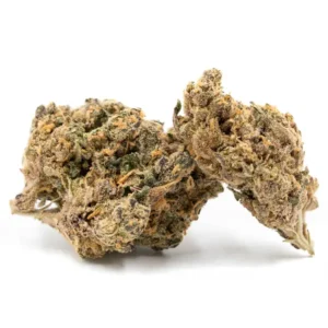 Dense Apple Fritter THCA Flower buds with green and purple hues, highlighted by vibrant orange pistils and a resinous structure