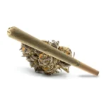 Apple Tartz pre-roll cannabis joint resting on a dense, resinous bud with sweet and fruity terpenes.