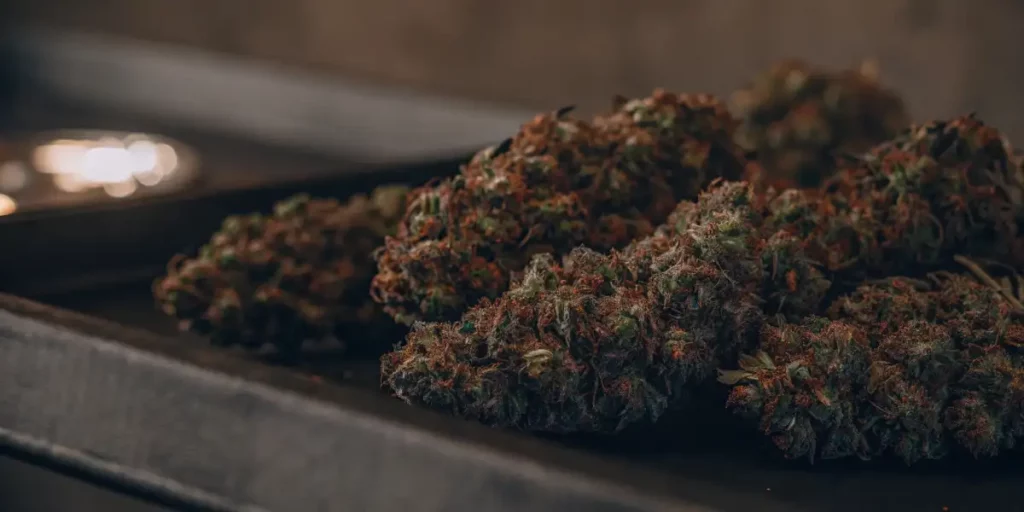 Cannabis buds resting on a dark tray, showing detailed trichomes and vibrant colors.