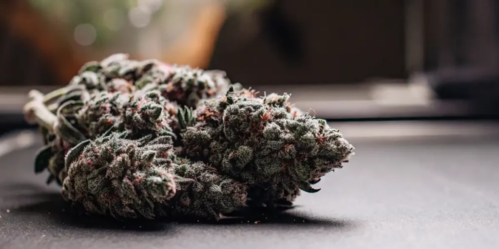 Cannabis buds covered in frosty trichomes with orange pistils on a dark surface