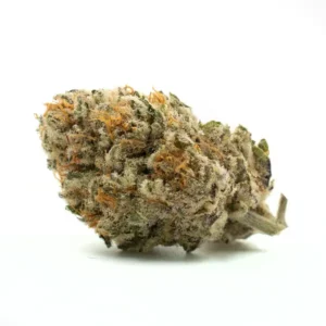 Single Donny Burger THCA Flower bud with frosty trichomes, highlighting green tones and vibrant orange pistils