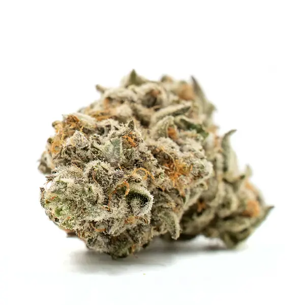 Close-up of Donny Burger THCA Flower bud with rich trichome coverage, featuring bright orange pistils and a compact structure