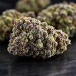 Close-up of exotic THCA flower buds with vibrant purple and green hues, showcasing frosty trichomes and premium quality.