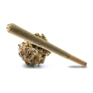 Gelato pre-roll cannabis joint resting on resin-covered buds with sweet and creamy flavors.