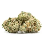 Three Gorilla Glue G4 THCA Flower buds, showcasing dense green structure with trichomes and vibrant orange hairs