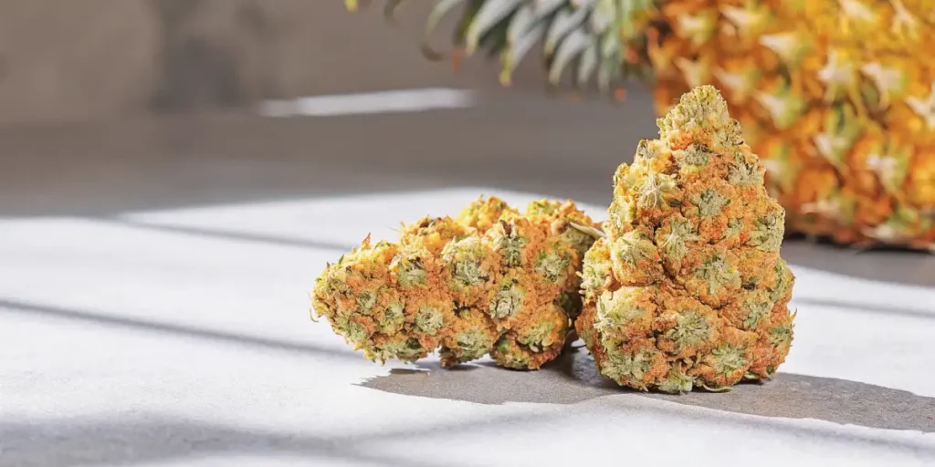 Two cannabis buds with orange and green hues under soft natural light, showcasing their intricate texture.