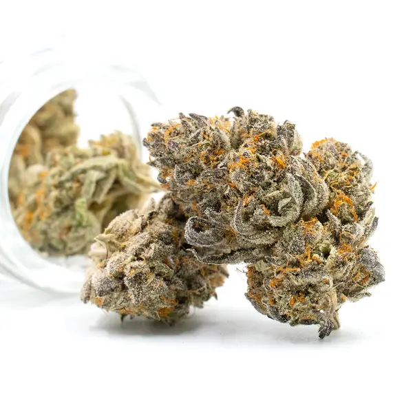 Jealousy THCA Flower buds spilling from a jar, featuring dense purple and green hues with trichomes and striking orange pistils