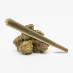 Lamb's Bread pre-roll joint with vibrant green buds, delivering uplifting sativa effects.