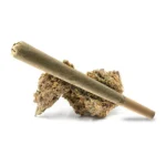 RS11 pre-roll cannabis joint paired with fruity, resinous buds, offering hybrid effects.