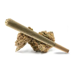 RS11 pre-roll cannabis joint paired with fruity, resinous buds, offering hybrid effects.