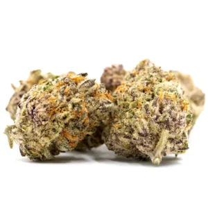Two Runtz x Jealousy THCA Flower buds with a mix of purple and green hues, covered in trichomes and accented by vibrant orange hairs