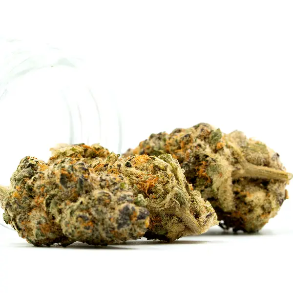 Runtz x Jealousy THCA Flower buds spilling from a jar, showcasing frosty trichomes, deep green tones, and bright orange pistils