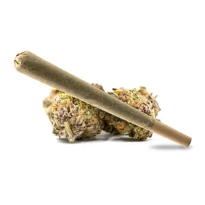 Strawberry pre-roll joint with fruity flavors, resting on resinous cannabis buds.