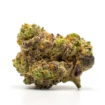 Compact Super Boof THCA Flower nug showcasing vibrant green and purple colors with frosty trichomes and subtle orange hairs