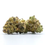 Super Boof THCA Flower bud with a mix of deep purple and green tones, covered in trichomes and bright orange pistils