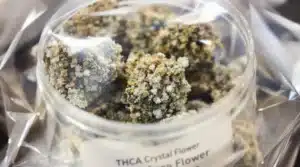 Close-up of THCA Crystal Flower buds in a jar.