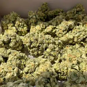 High-quality THCA cannabis flowers displayed on clearance, showcasing vibrant buds with visible trichomes.