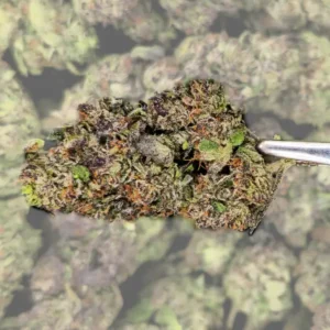 Cement Shoes THCA Flower close-up showing dense, frosty buds with purple accents.